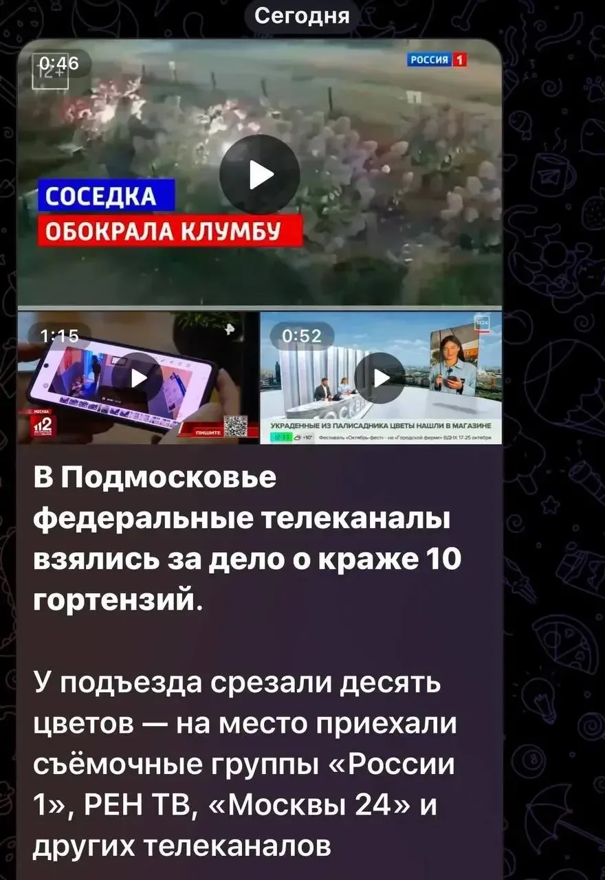 🌿 ИСТОРИЯ С ГОРТЕНЗИЯМИ ВЫШЛА НА ФЕДЕРАЛЬНЫЙ УРОВЕНЬ 😎Похоже, в Путилково нашлась сво...
