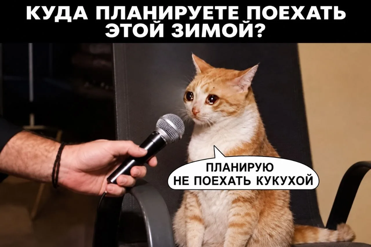 Наши интервьюеры обзвонили 500 московских турагентств, чтобы узнать, какие страны в топ...