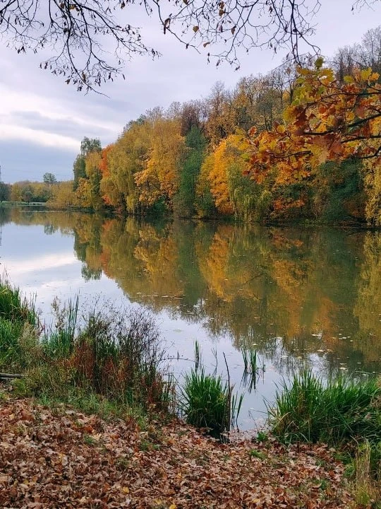 🍁🍃 Осенняя атмосфера в парке «Кузьминки»