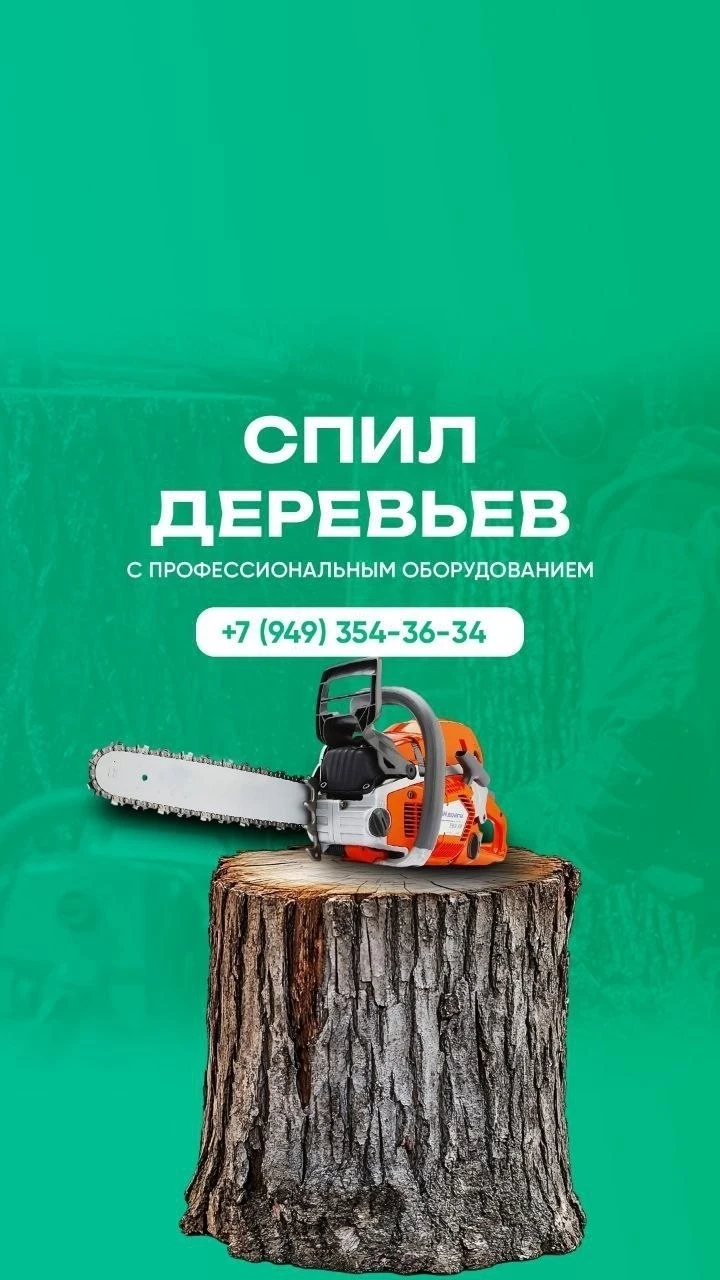 🌳 Спил деревьев. Аккуратно. Безопасно. Профессионально. 🪚