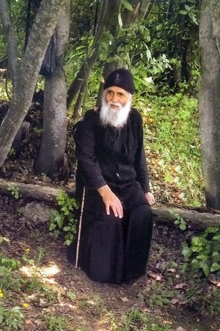 В конце 1993 года у старца обнаружили последнюю стадия рака. Когда старцу Паисию сообщи...