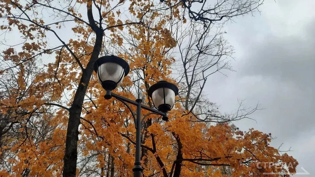 🌤️ В Брянской области 9 октября потеплеет до +21°C