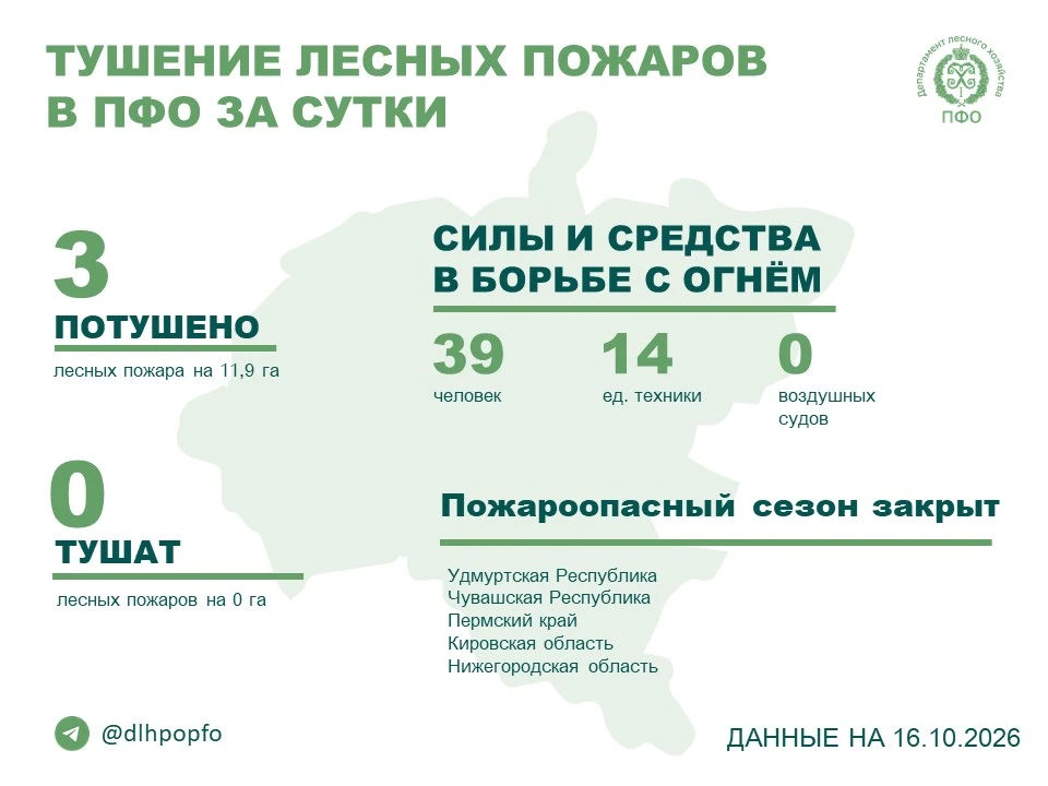 🔥️ За прошедшие сутки в регионах ПФО потушено 3 лесных пожара.