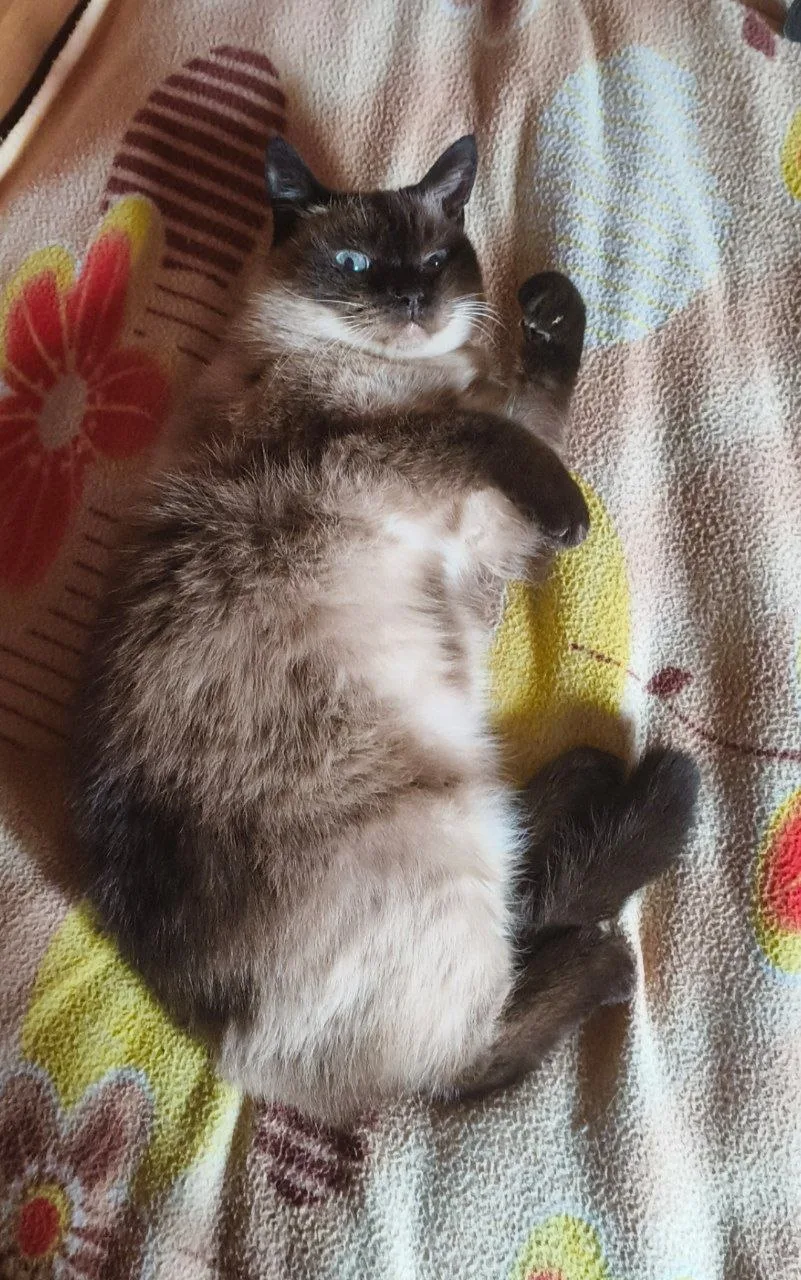 #МО #Химки