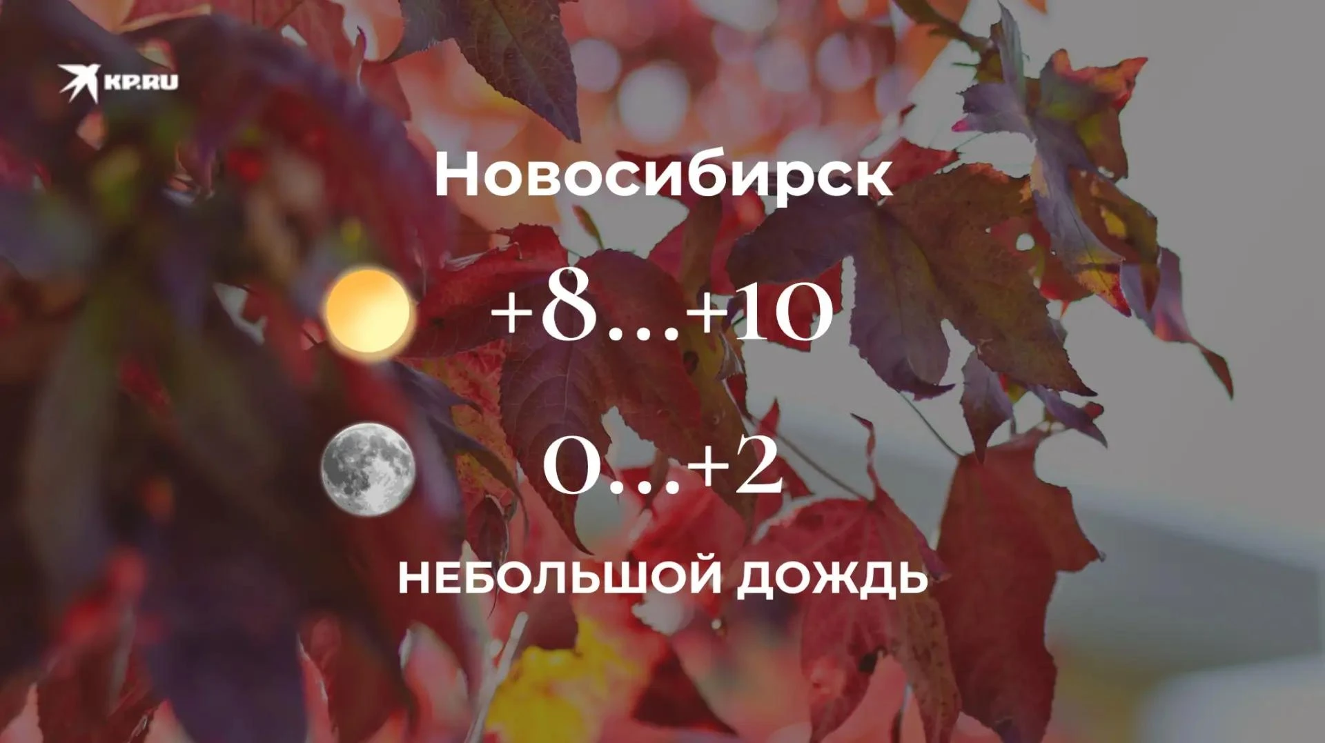 Доброе утро, новосибирцы!