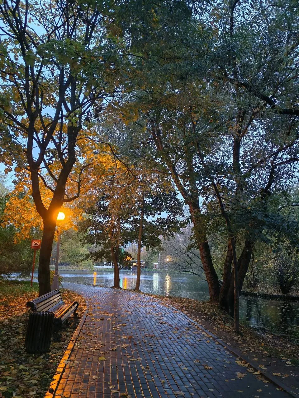 Дивная осень в Воронцовском 🍂