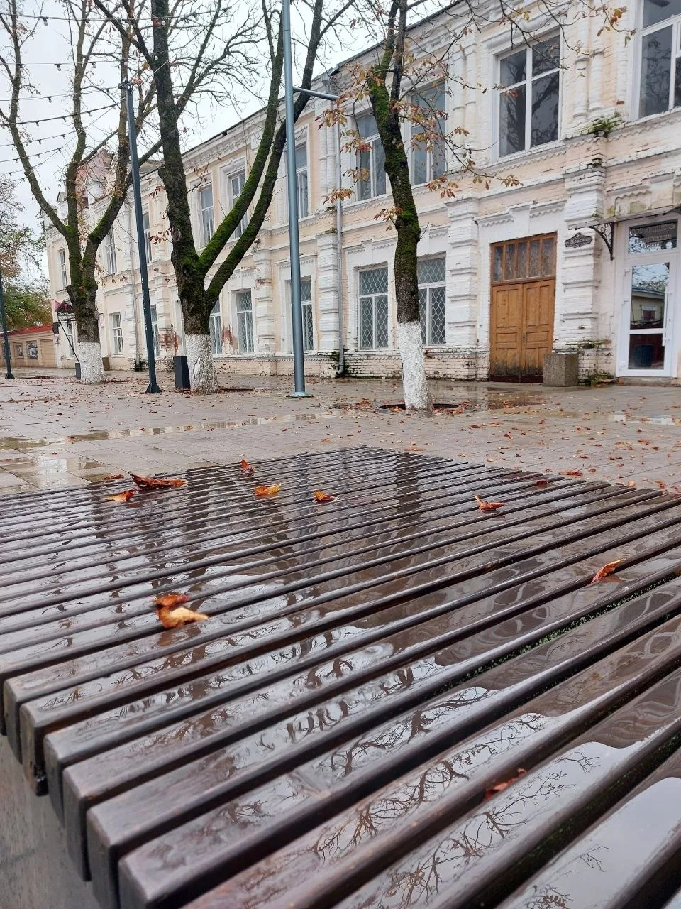 🌧🍁Осенний дождь – вторые сутки кряду,