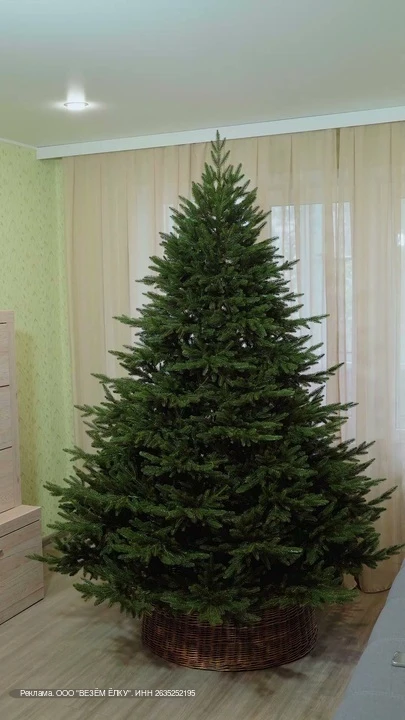 У этой ёлки хочется раздвинуть ветки и заглянуть внутрь. 🎄