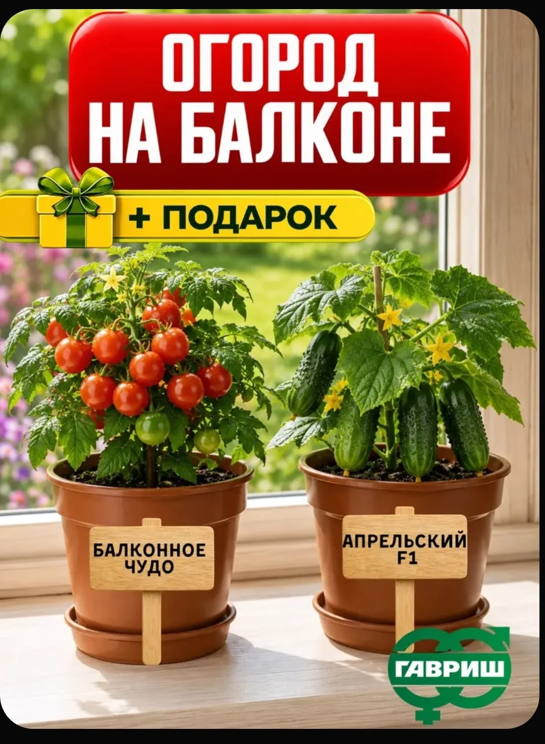Набор семян для балкона и подоконника