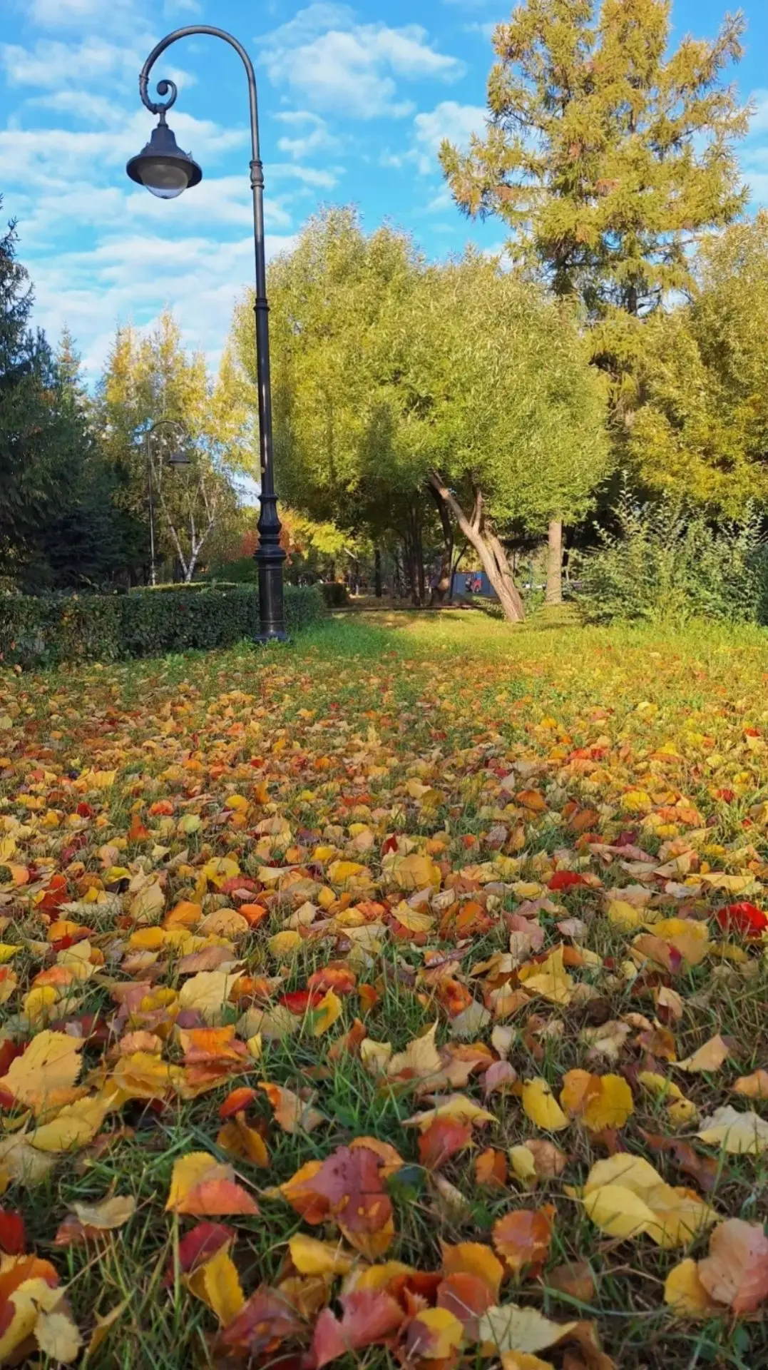 #омскоефотонедели — итоги 🦊