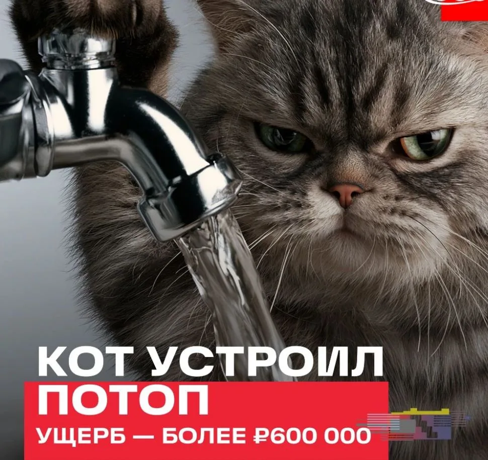 Кот устроил потоп на сумму более 600 тысяч рублей в Ульяновской области. Пока хозяев не...