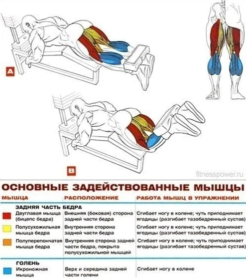 Со спортом по жизни