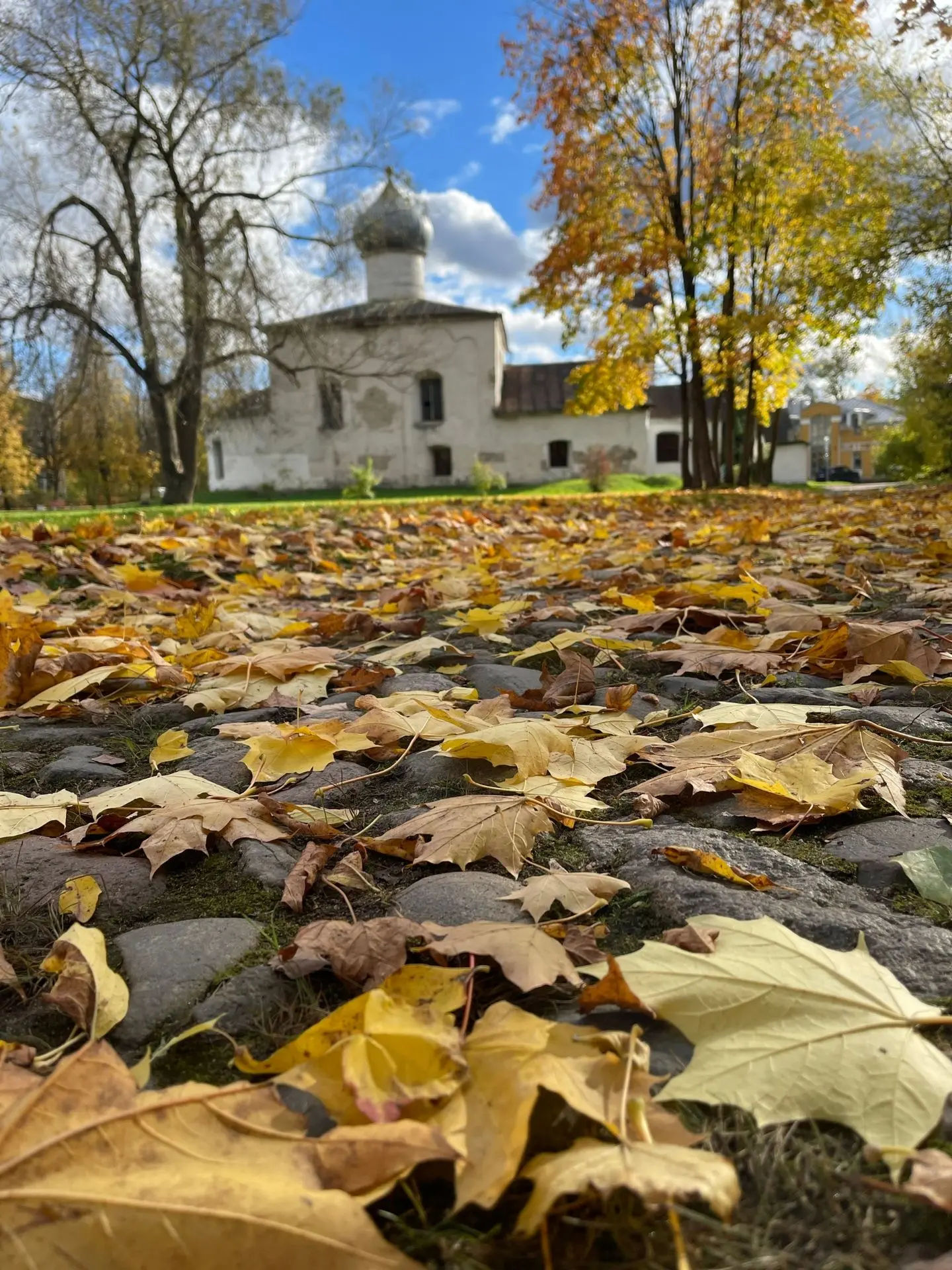 Октябрьский пейзаж.