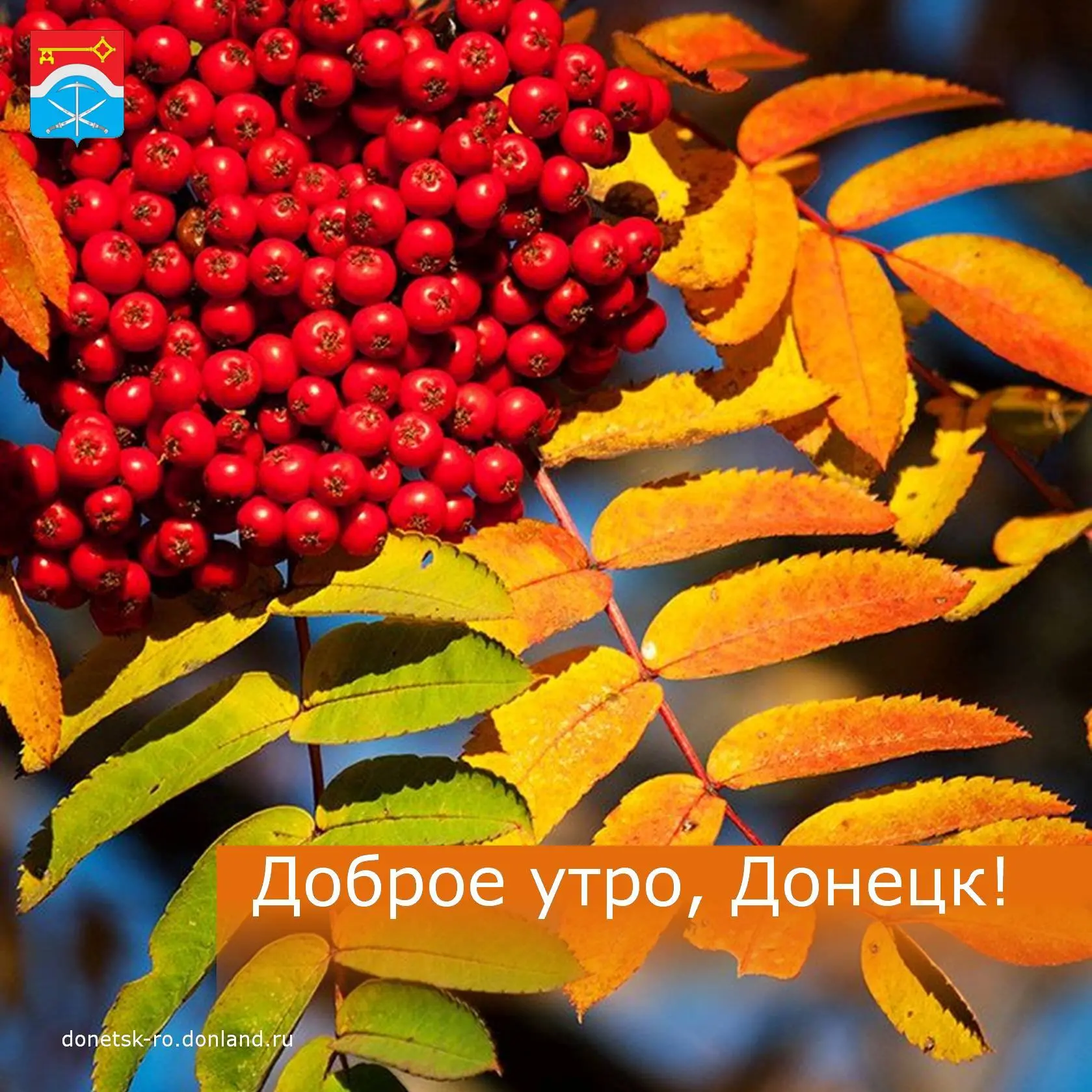 Доброе утро, дончане!