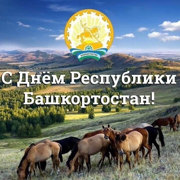 Хөрмәтле хәйбуллалар!