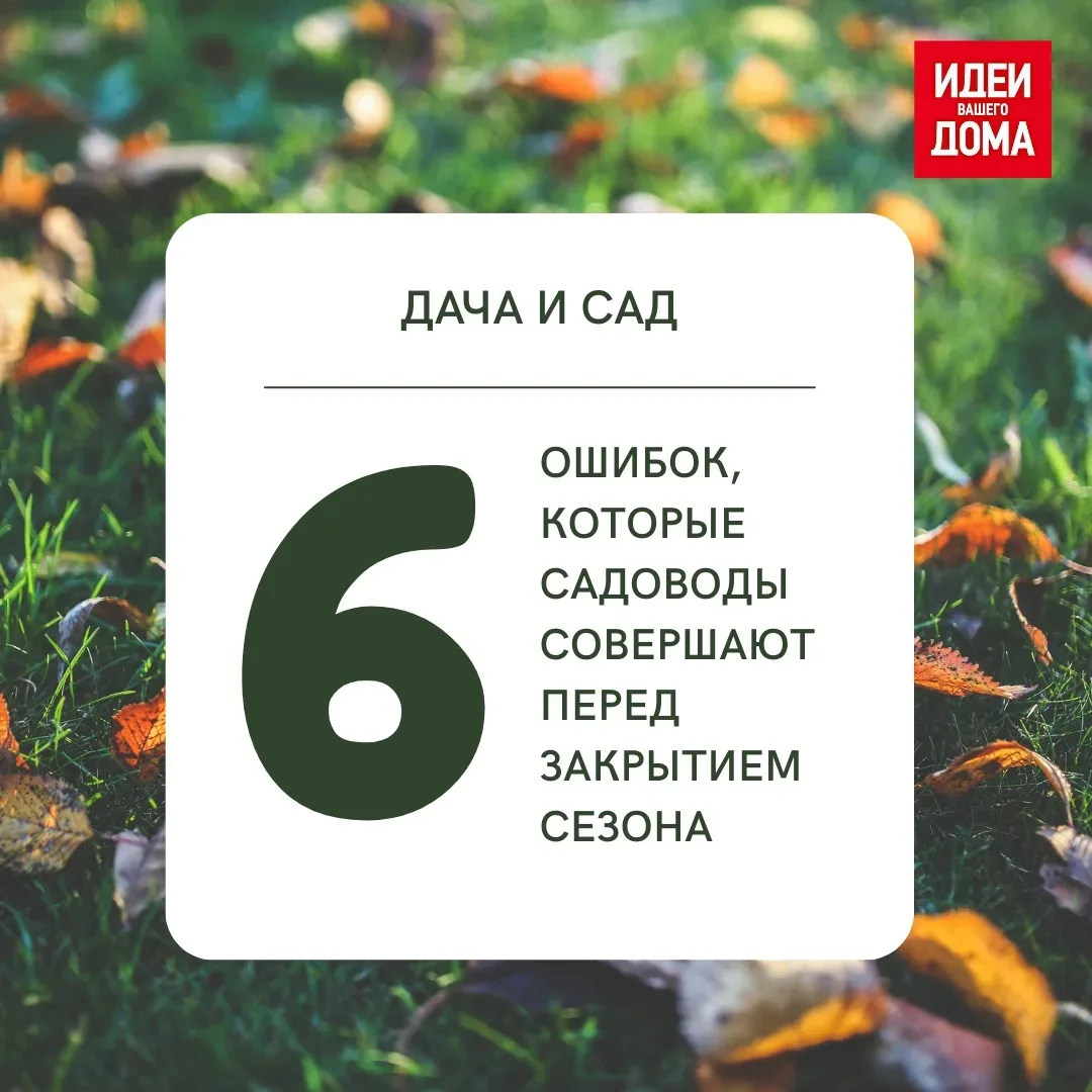 Полив, уход за деревьями и посадка растений на зиму — разбираемся, что дачники часто де...