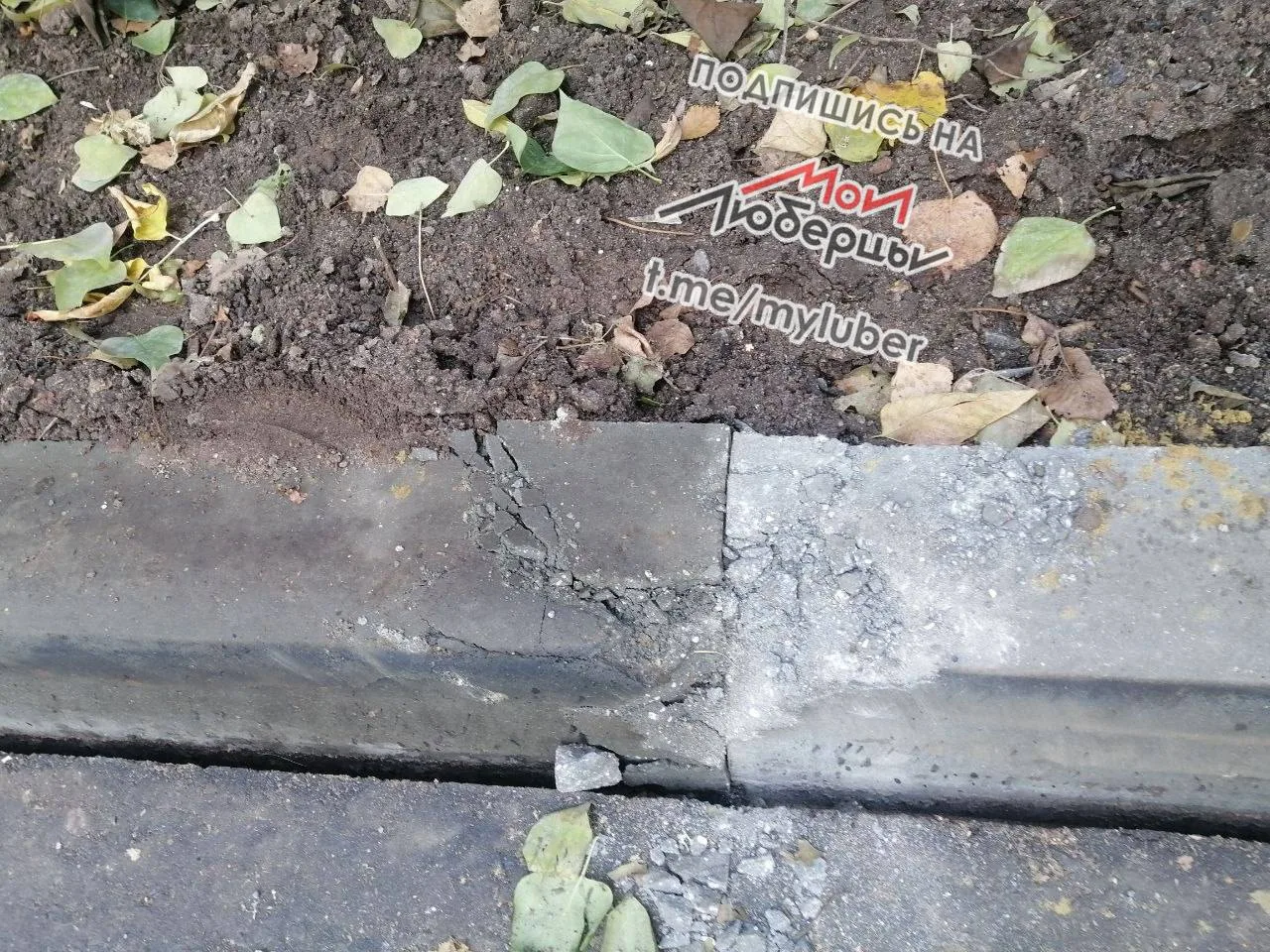 Во дворе на Октябрьском проспекте стоит вода