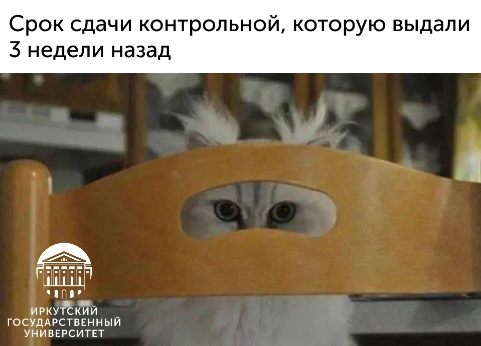 Ставь «❤️», если тоже приближается дедлайн по контрольной или домашнему заданию 🤯