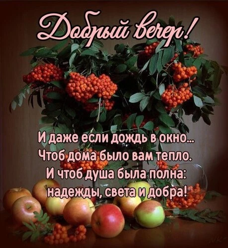 Желаю замечательного и тёплого настроения на весь день🥰