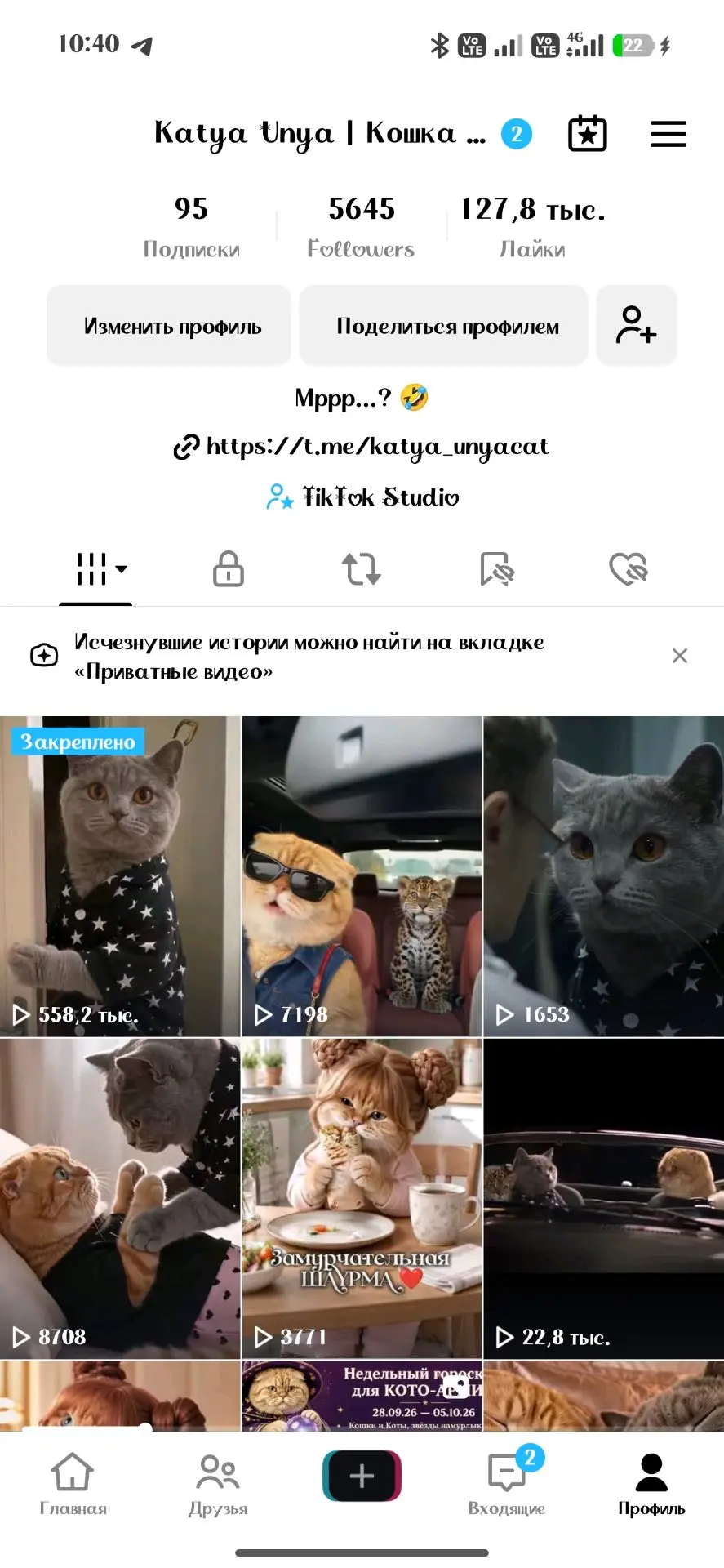 Делимся не много впечатлениями с Кото-армией! ❤