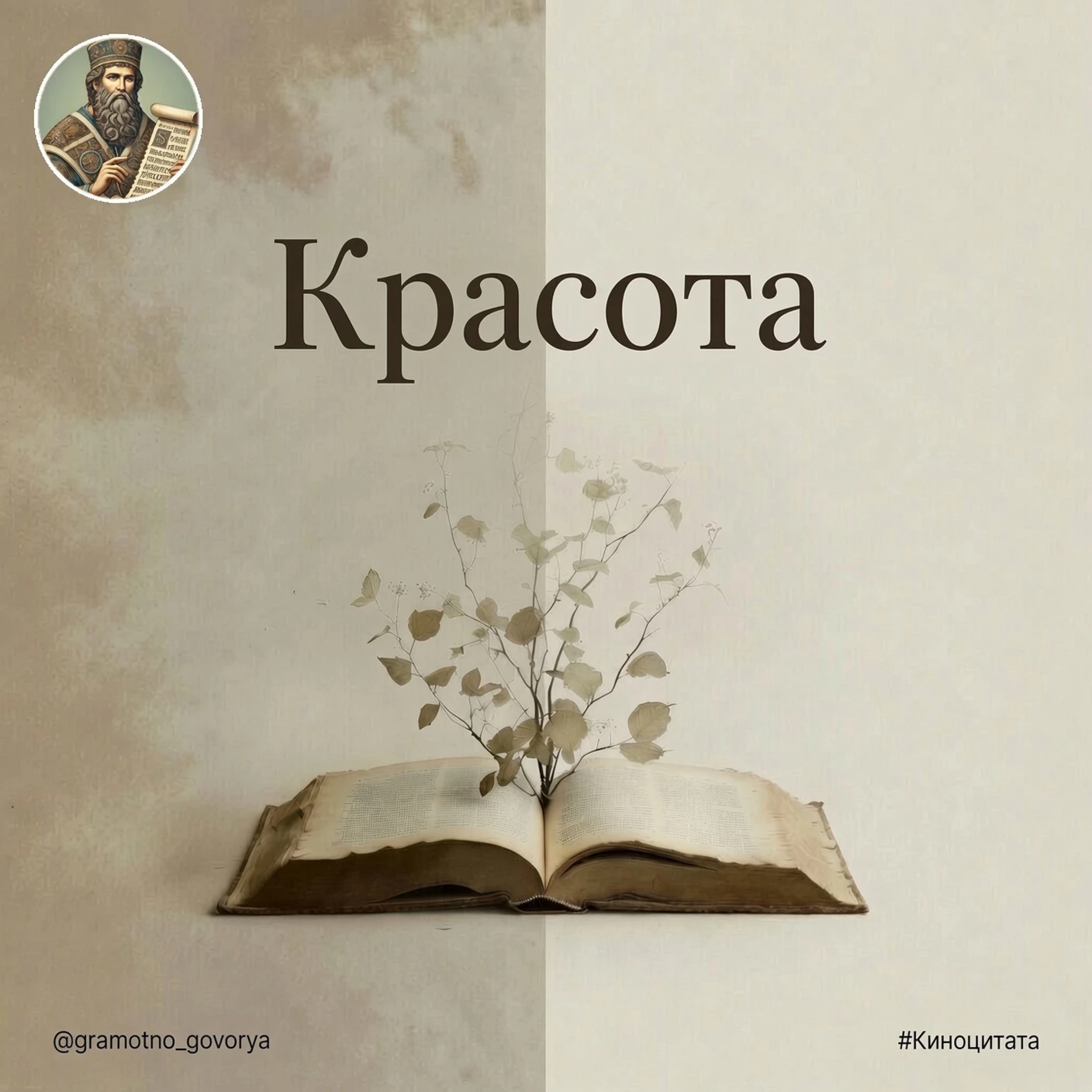 «Красота — страшная сила».