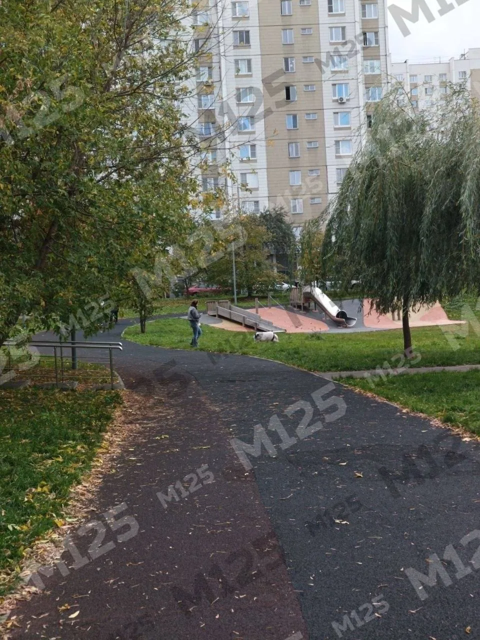 Это какая порода?