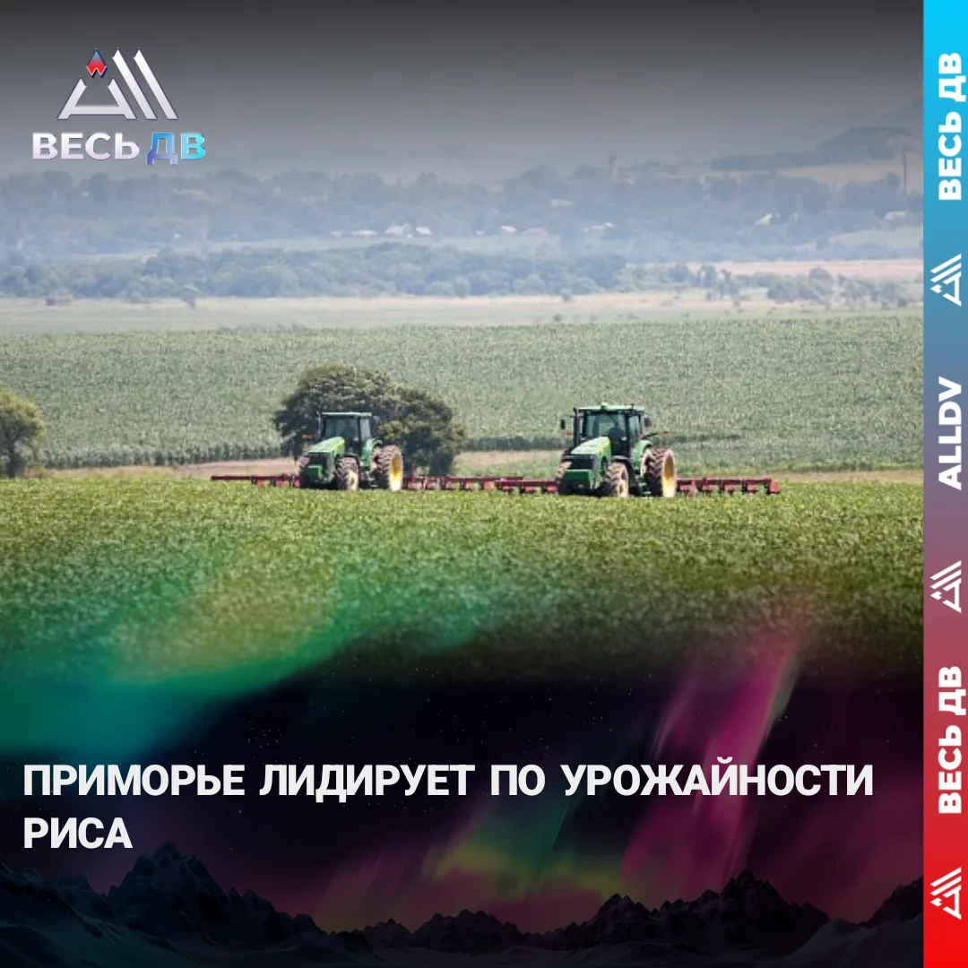 69 центнеров с гектара — выше среднероссийского на 6 центнеров