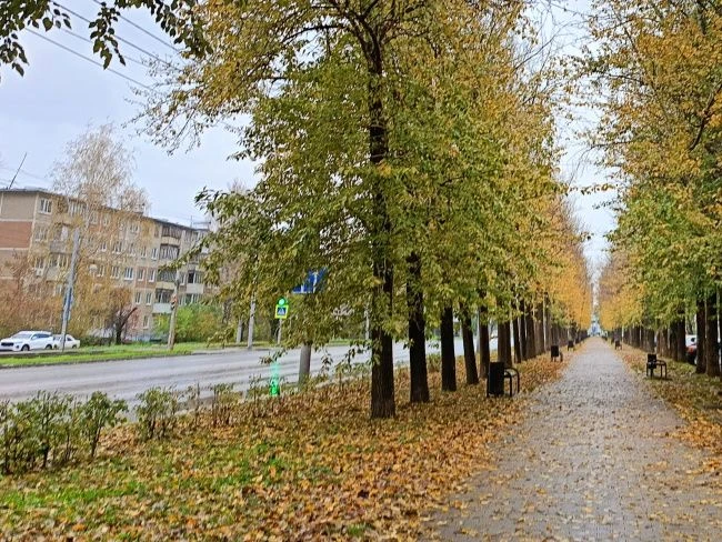 В Пермский край ненадолго вернется тепло
