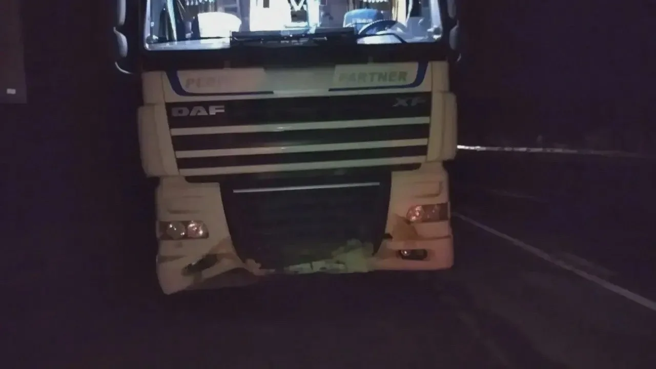 На трассе под Уфой погиб кабан