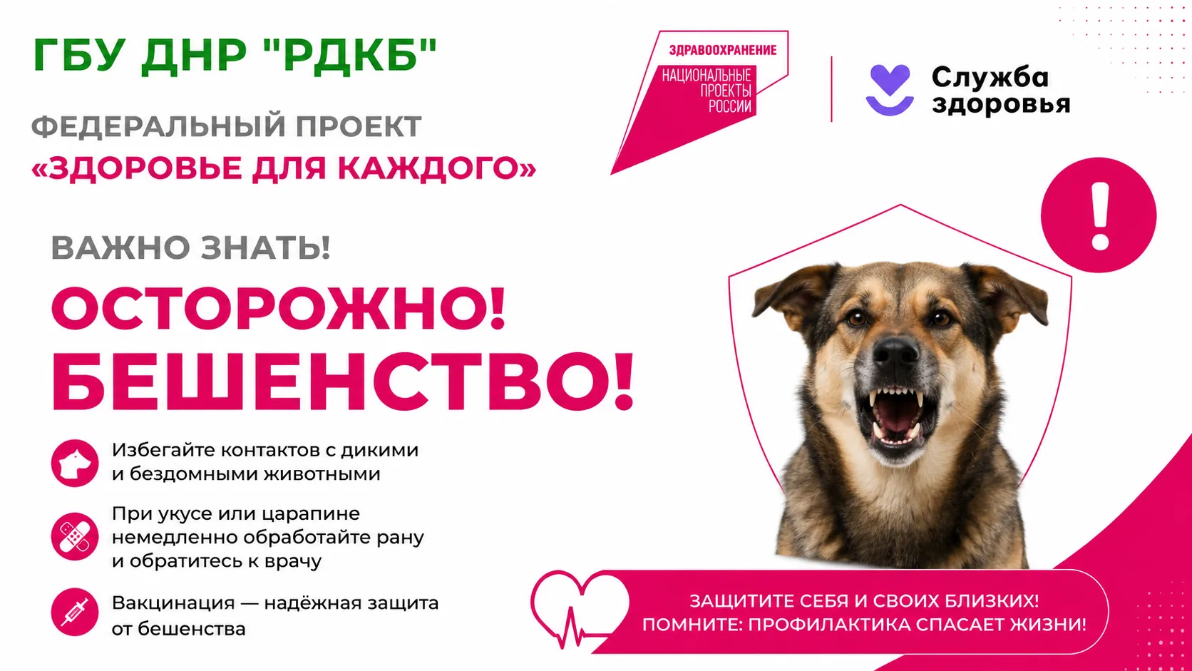 Осторожно - бешенство!