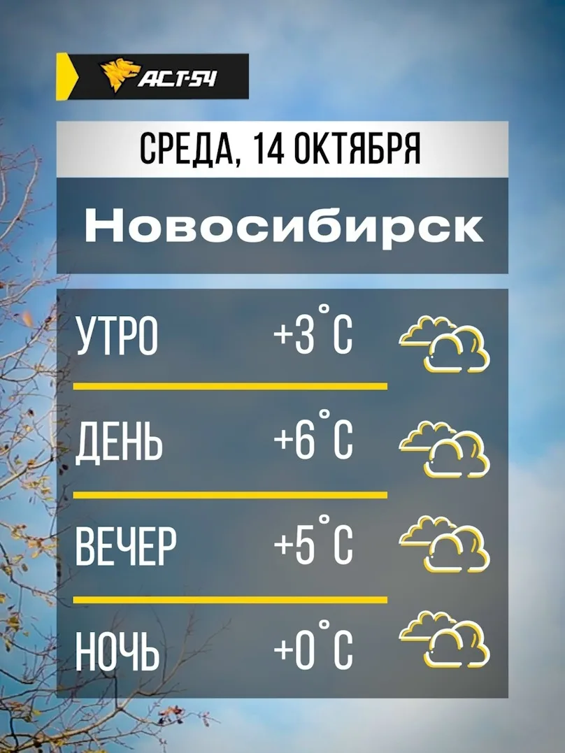 ☁ Сегодня в Новосибирске будет пасмурно и прохладно. Максимальная температура воздуха д...