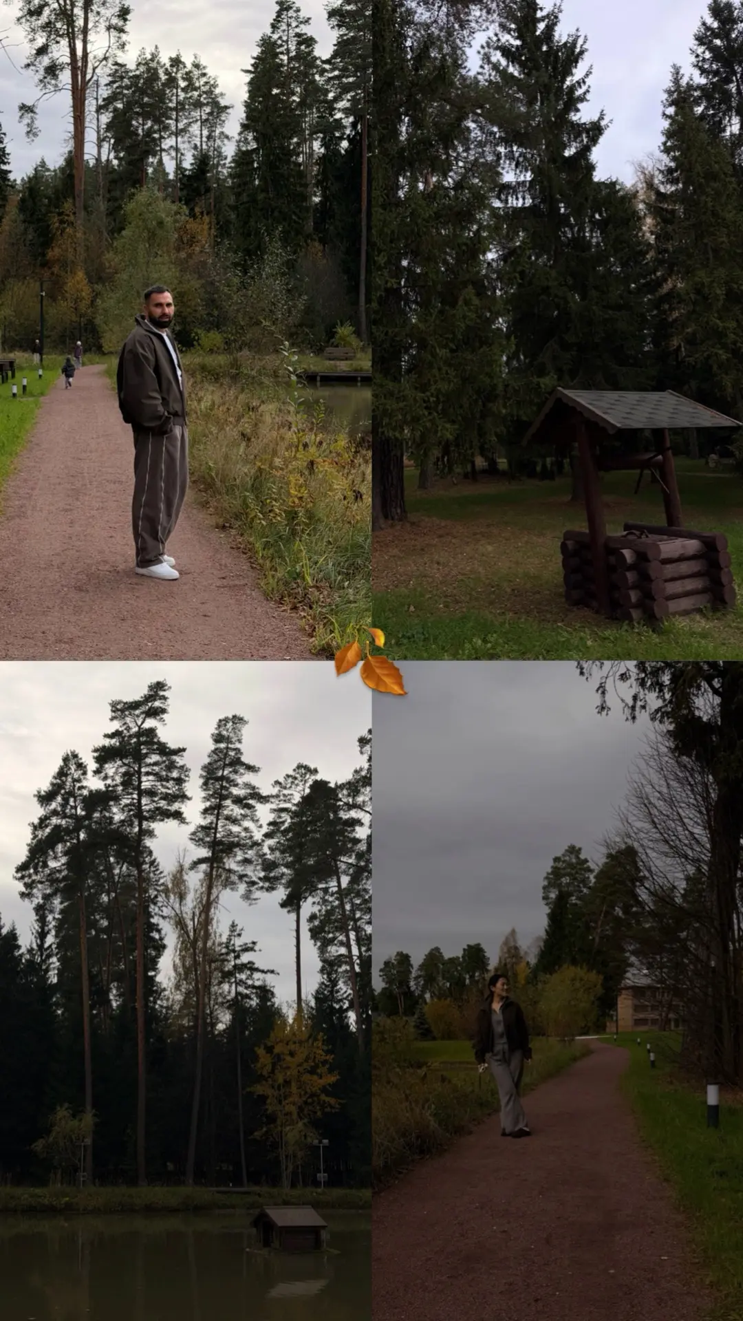 🍂🍂🍂