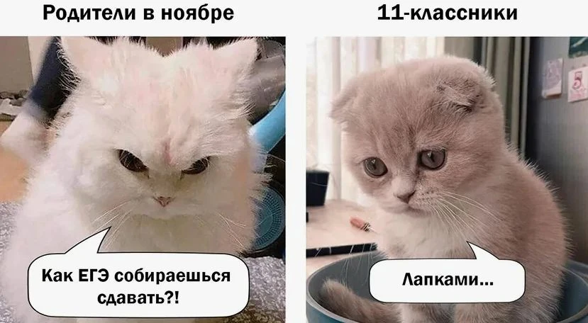 С 2027 года в заданиях обязательного государственного экзамена по истории и обществозна...