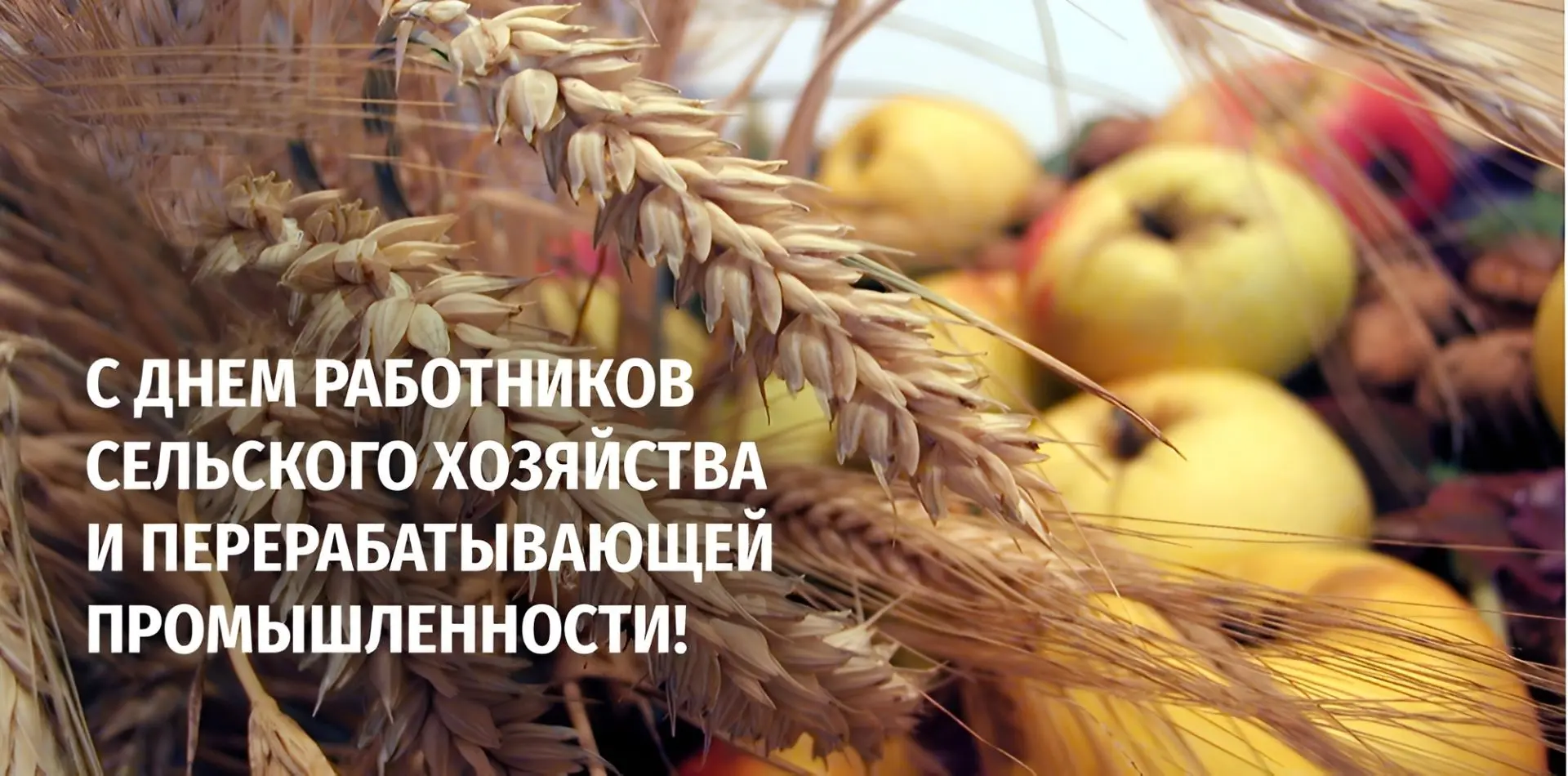 🌾 С праздником, дорогие ветераны, аграрии и работники перерабатывающей промышленности ...