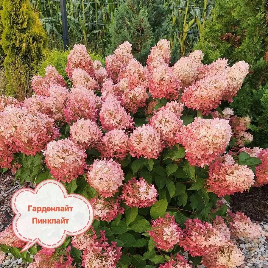 Осенние скидки!!! 🍂🍂🍂