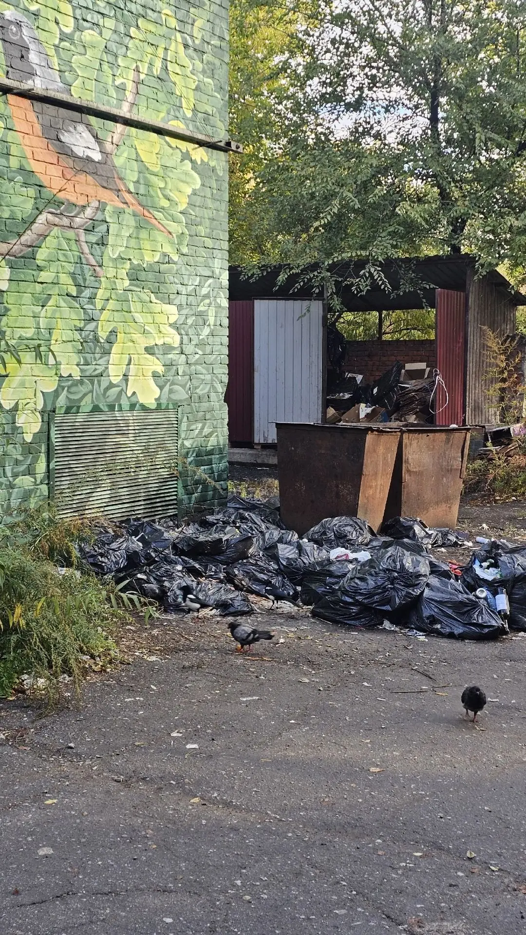 В соцсетях поступила жалоба от горожан на кучи мусора в центре города — возле кафе на у...