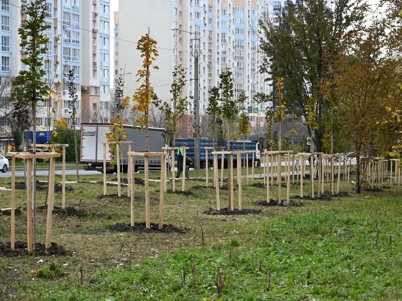 Участники субботника высадили красные клены на улице Тернопольской в Пензе