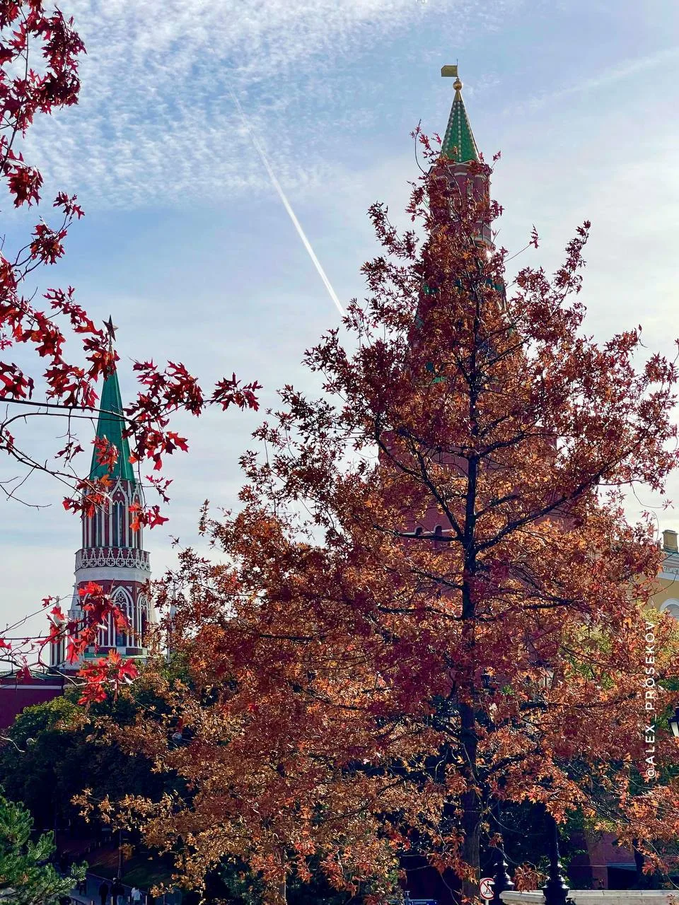 Осень на Манежной площади 🍁