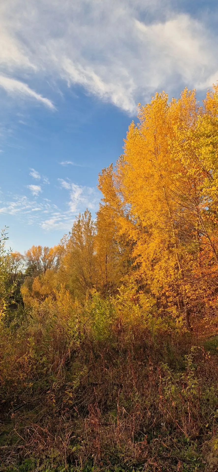 Доброе утро! 🍁🍂