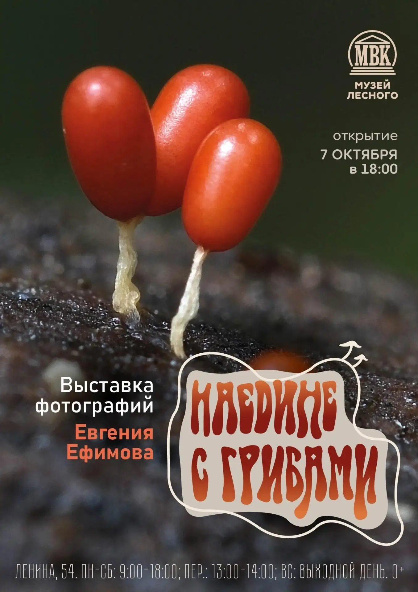 Хотите открыть для себя удивительный мир грибов? 🍄
