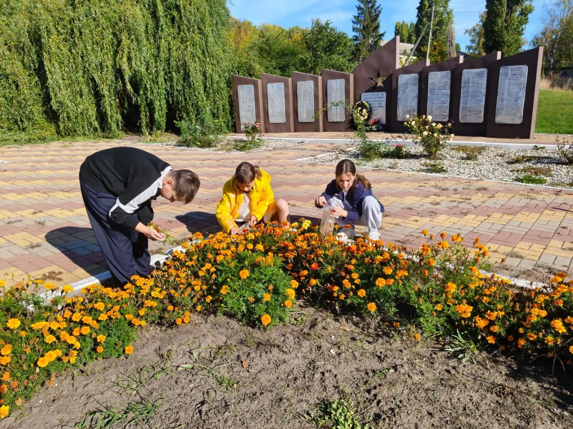 🌱 Забота о памяти и природе