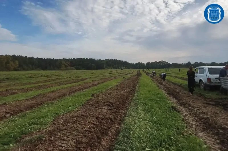 В регионе продолжается осенняя кампания по лесовосстановлению.