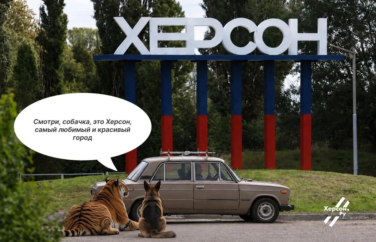 🇷🇺Тренд с собачкой добрался и до нас. Мы тоже не удержались и показали ей наш любимый...