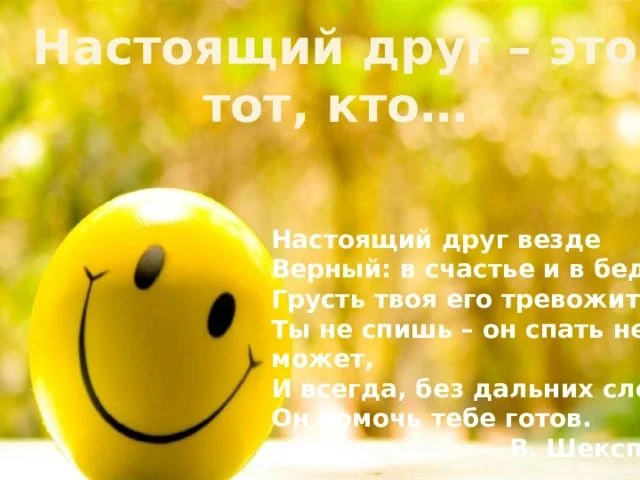 Классный час на тему: "Настоящий друг тот, кто..." прошёл в 9 классе  продуктивно и инт...