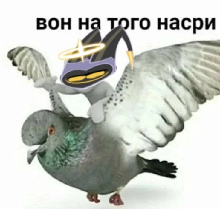 Все наши каналы