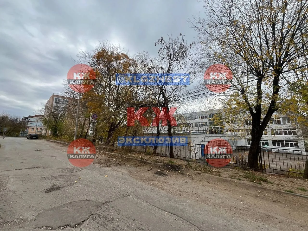 Дерево повисло на проводах у школы № 13