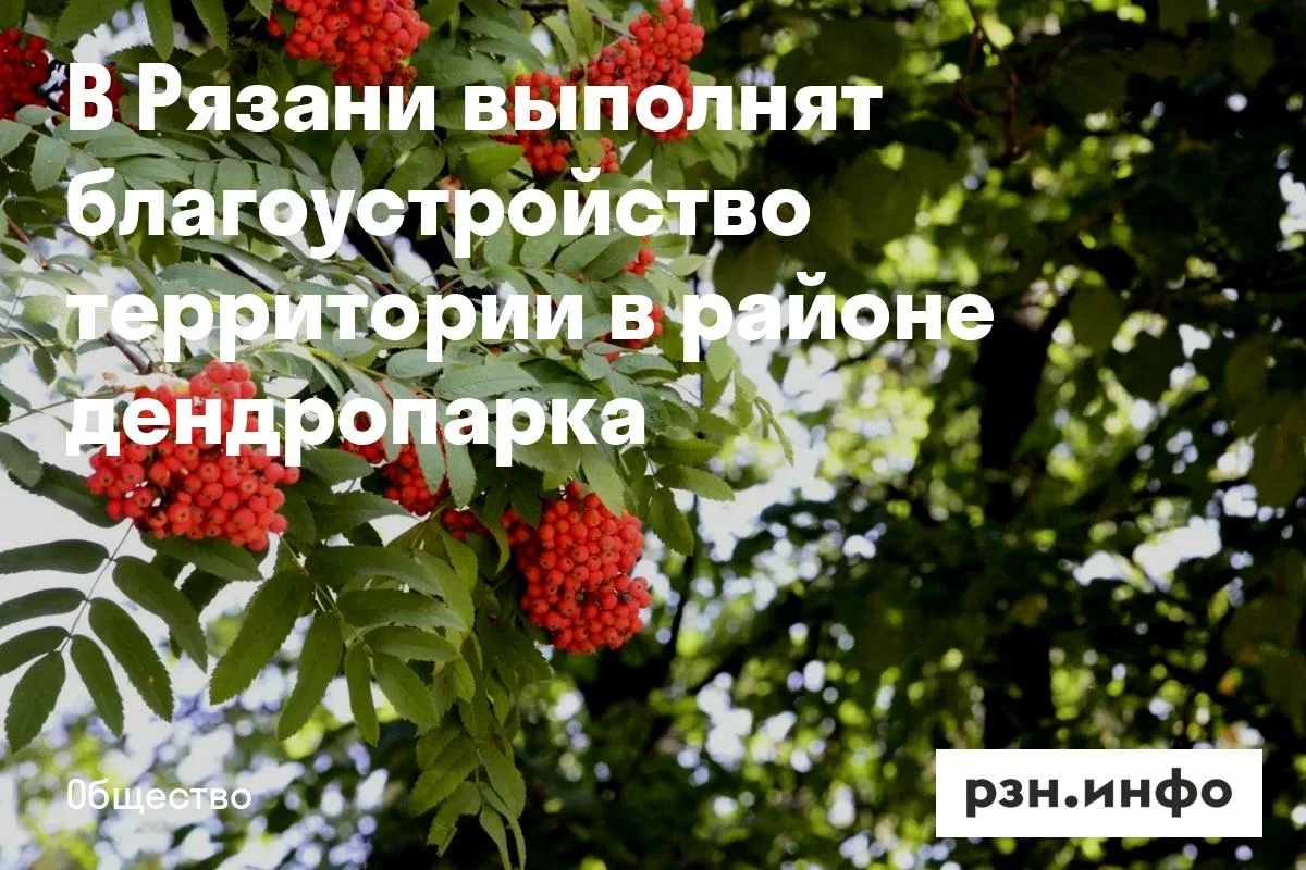В Рязани выполнят благоустройство территории в районе дендропарка