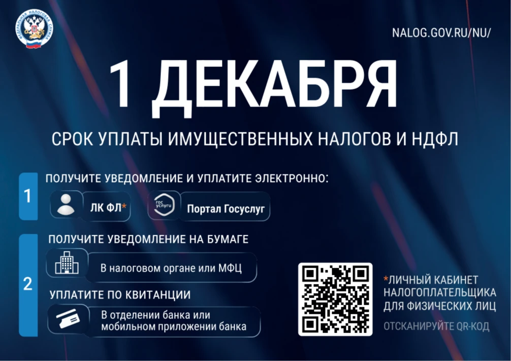 1 декабря - срок уплаты имущественных налогов.