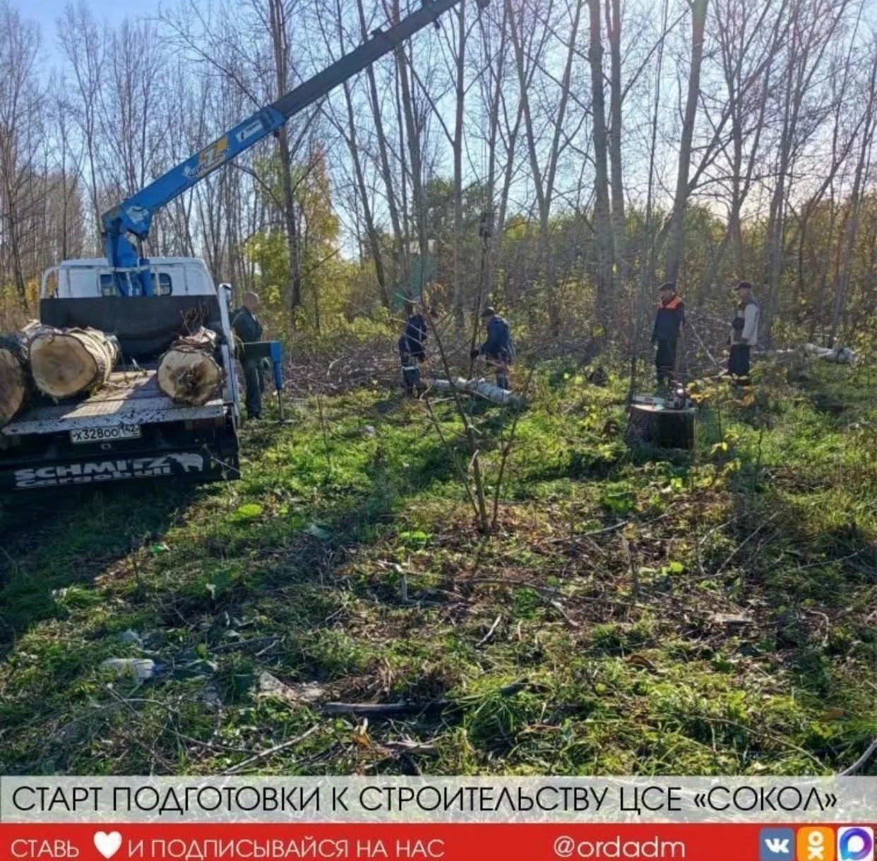 В Новокузнецке пилят деревья, чтобы построить Центр спортивных единоборств
