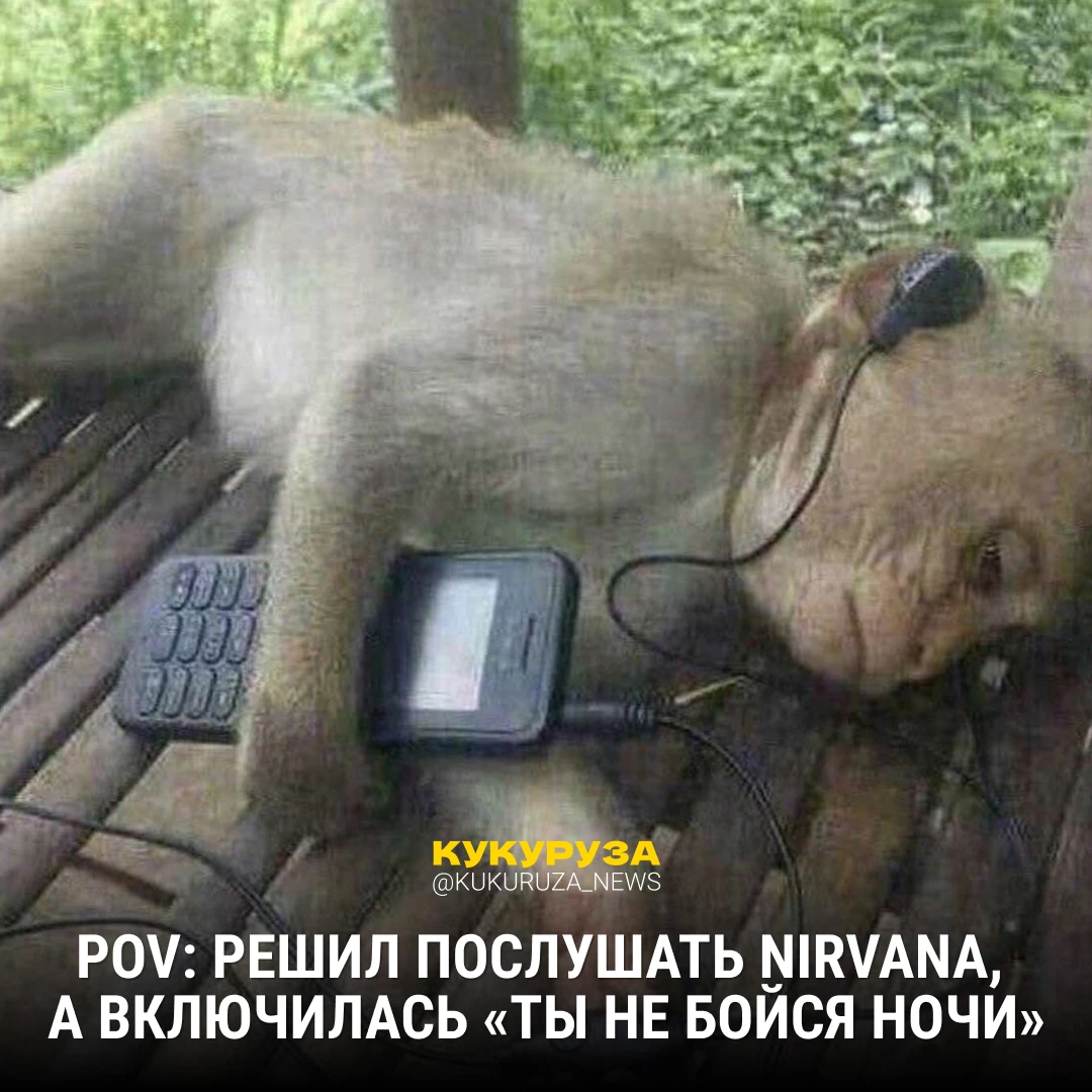 «Моя волна — рок, какого хрена я должен слушать ИИ-шную блевотину»
